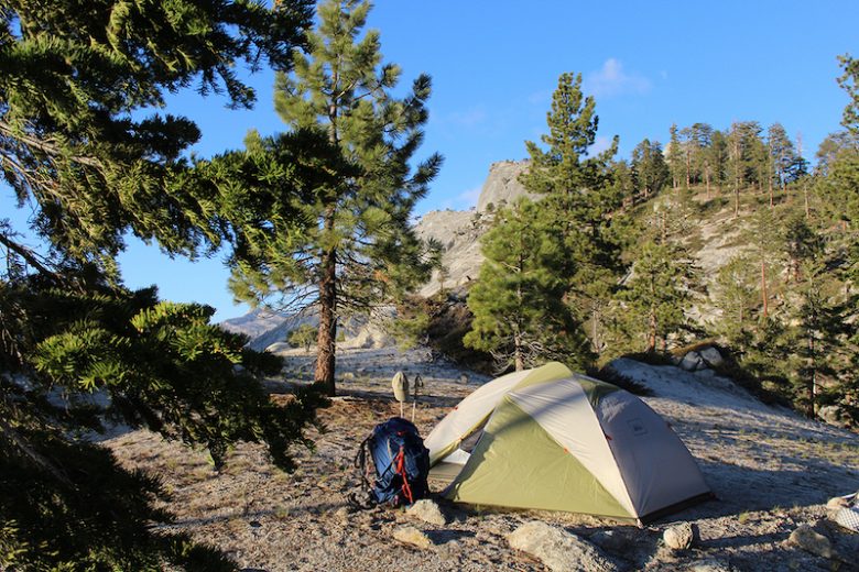 How To Explore Sequoia National Park Rei Co Op Journal