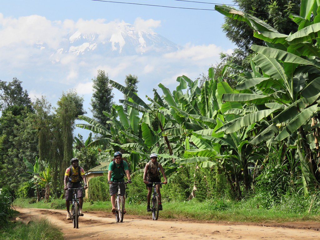 A group of cyclists on an REI Adventures tour pedal through lush Tanzanian forest.