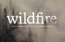 The Wildfire podcast logo in front of trees covered in smoke.