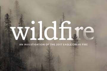 The Wildfire podcast logo in front of trees covered in smoke.