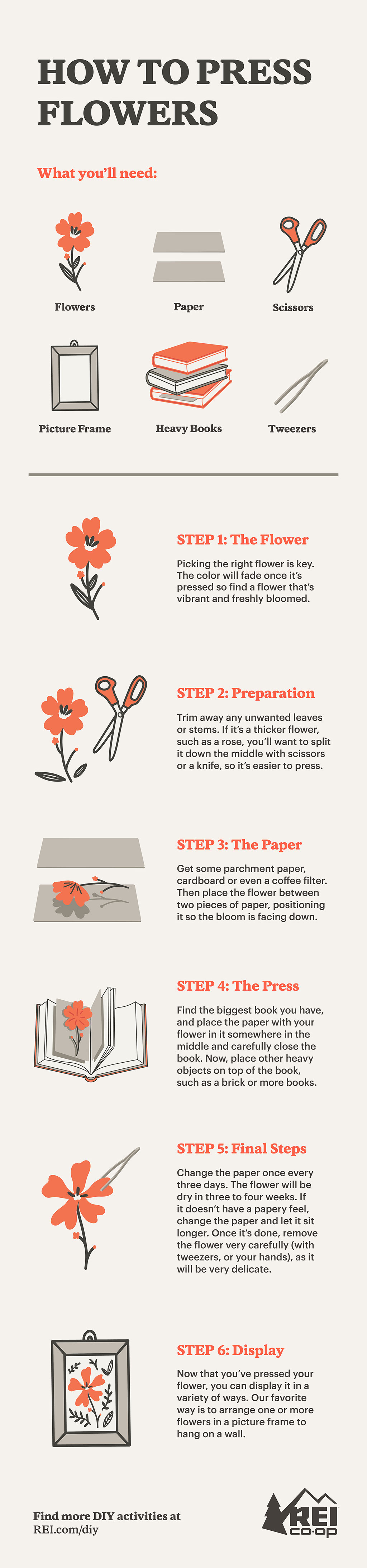 How to Press and Dry Flowers - Uncommon Path – An REI Co-op Publication