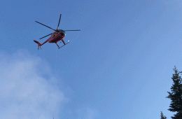 A helicopter descends on Olympic National Park to begin translocating goats to the North Cascades
