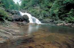 A rushing waterfall depositing into a transparent pond surrounded by green trees