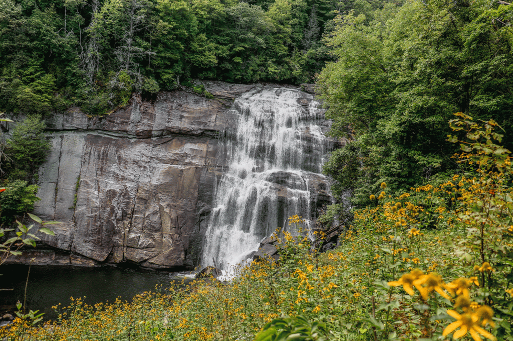 A tall waterfall with summer wildflowers in the foreground