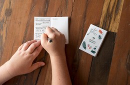Adventure notebook