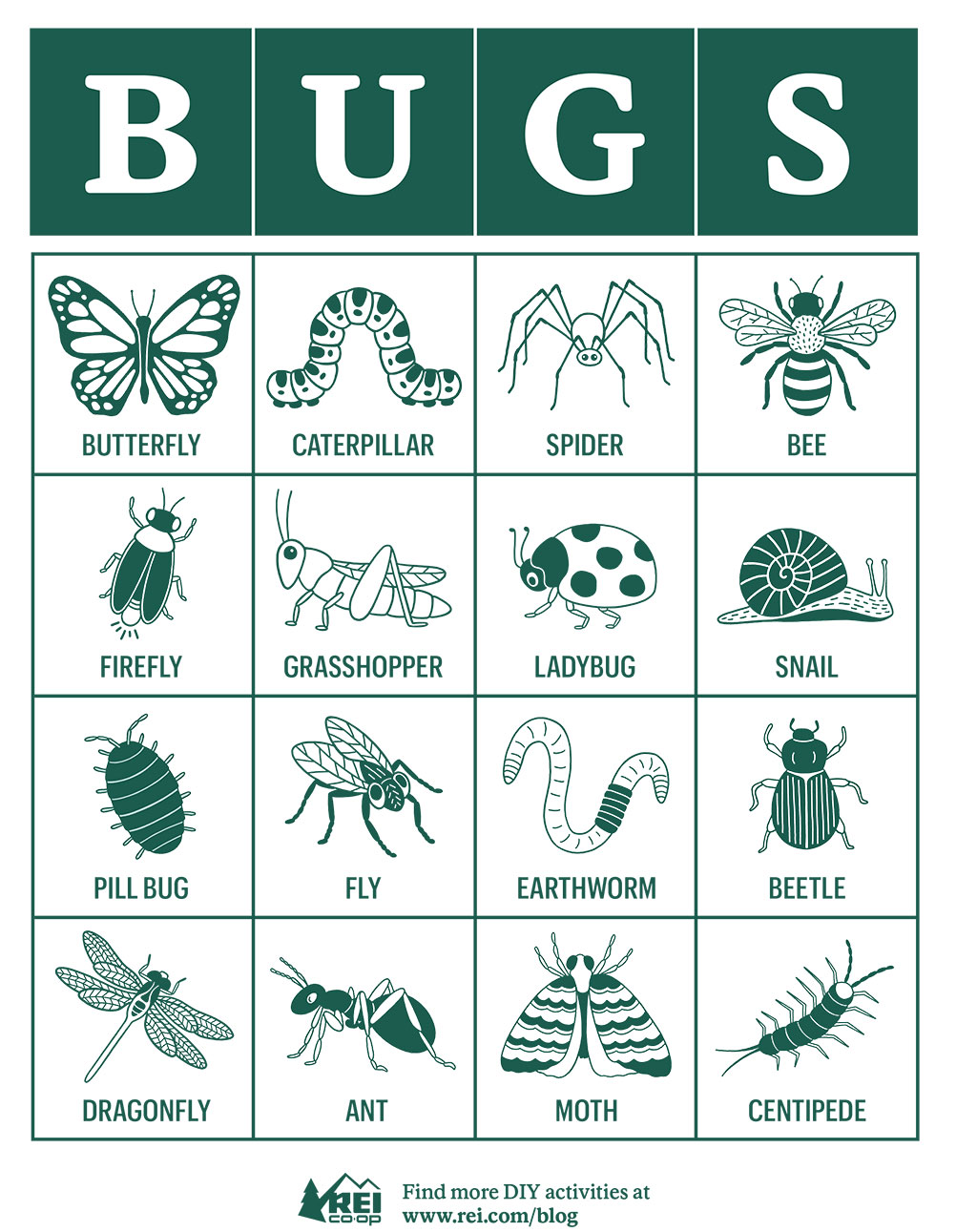 DIY: How to Play Bug Bingo - Uncommon Path – An REI Co-op Publication diy-how-to-play-bug-bingo-uncommon-path-an-rei-co-op-publication