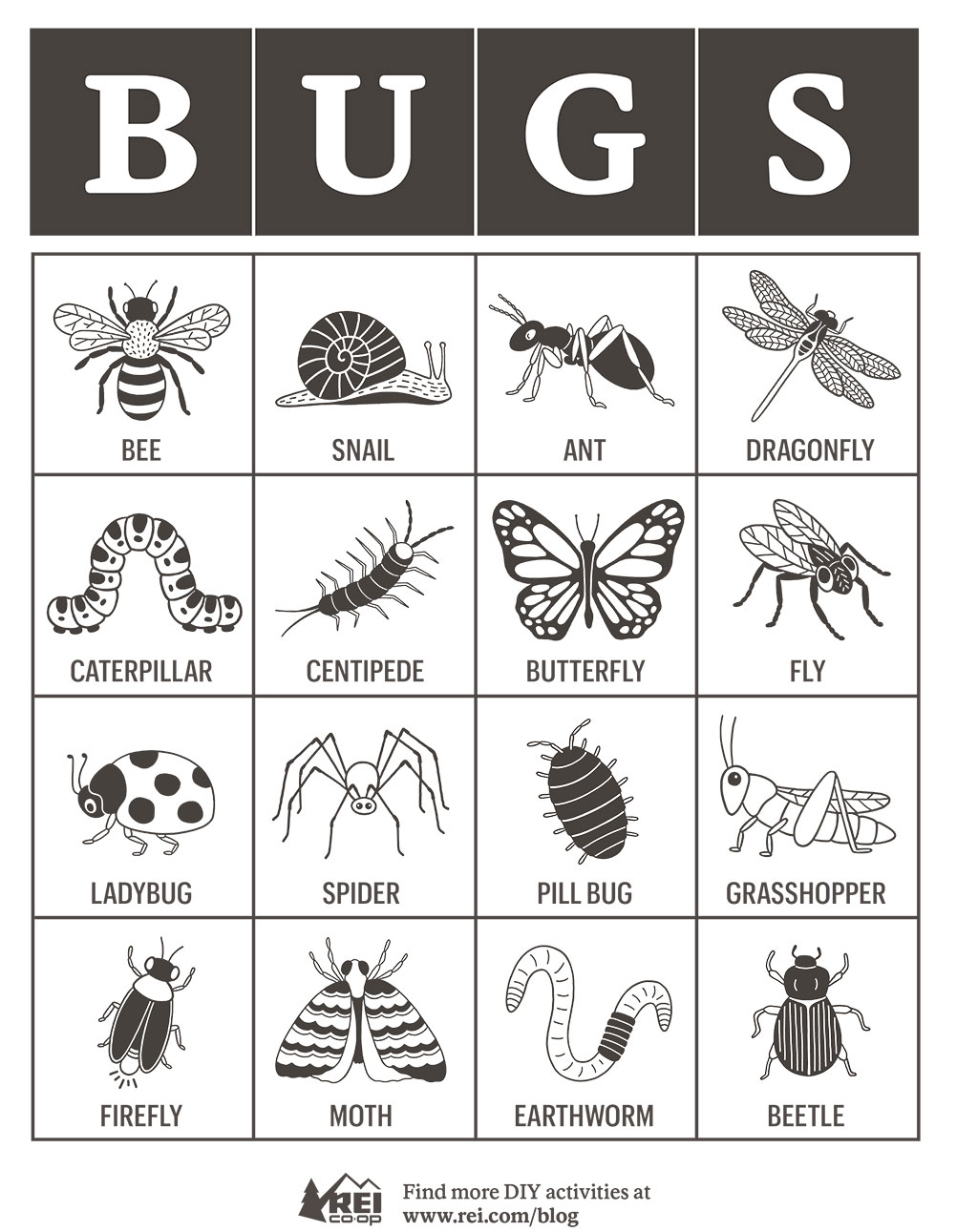 Bug Bingo Card 