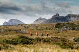 Two surfers carrying surfboards on their backs make their way across a brush-covered landscape