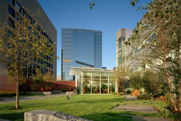 Green lawn with city building in the background.