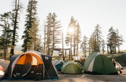 A group of tents sits in front of a group of pine trees, the sun shining through.