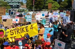 A shot of young people holding signs and protesting in bright clothing