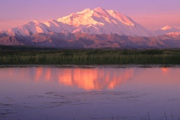 Alaska's Denali