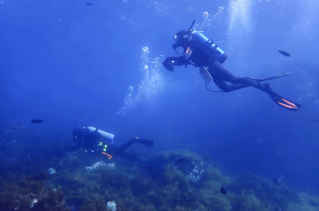 Divers surrounded by a deep-blue sea