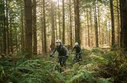 Cyclists ride trails in Bellingham, Washington.