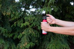 A person holding a can of bear spray at the ready