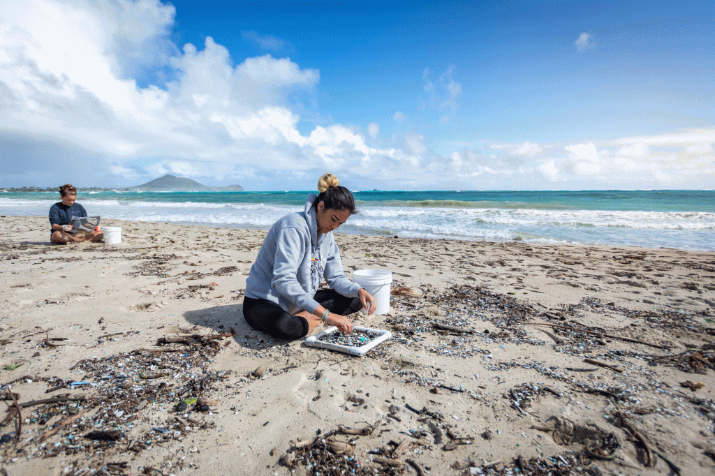 Tabatha Knudson paints on the beach