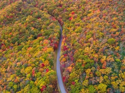 Fall foliage makes autumn one of the best times to visit the Blueridge Parkway.