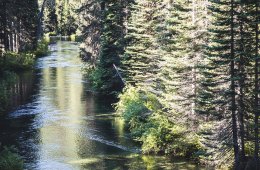 Scenic river in Washington