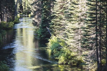 Scenic river in Washington