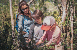 A mom and her kids spend time looking at nature