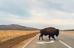 6 Adventures in Oklahoma’s Wichita Mountains