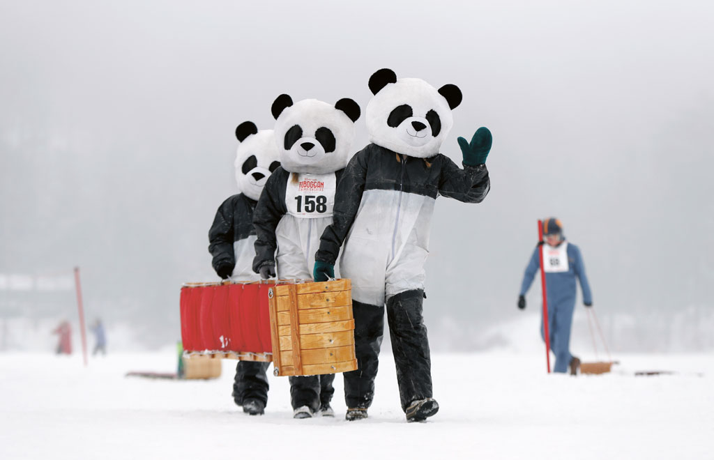 Competitors at the U.S. National Toboggan Championships