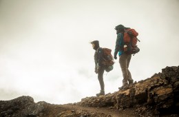What Is Eco-Anxiety?