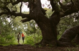 7 New Year’s Resolutions for Runners