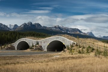 Wildlife Crossing Overpass Over the Trans Canada Highway