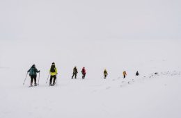 A group of trekkers wander through a white winter landscape.