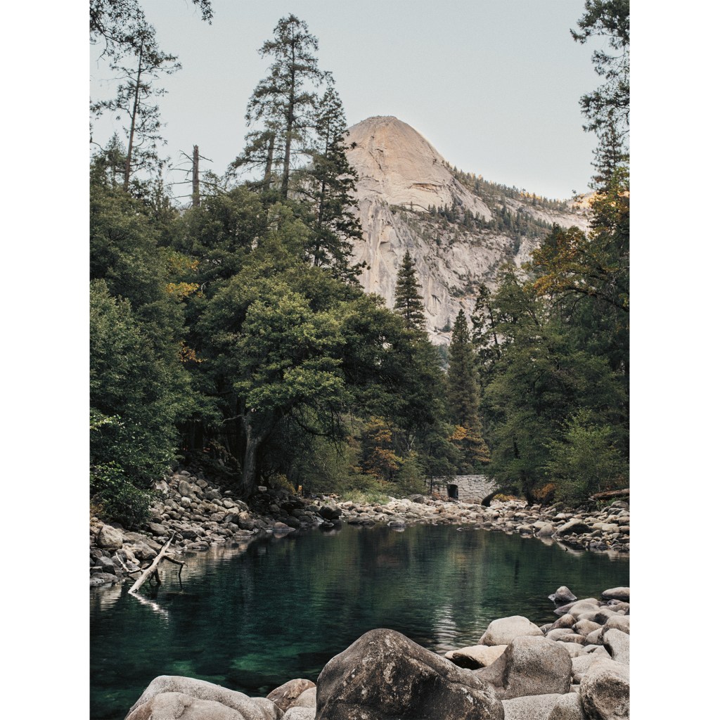 A photo of a serene lake surrounded by tall evergreen trees