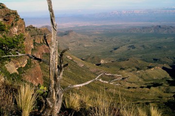 Overlooking Big Bend National Park from a peak