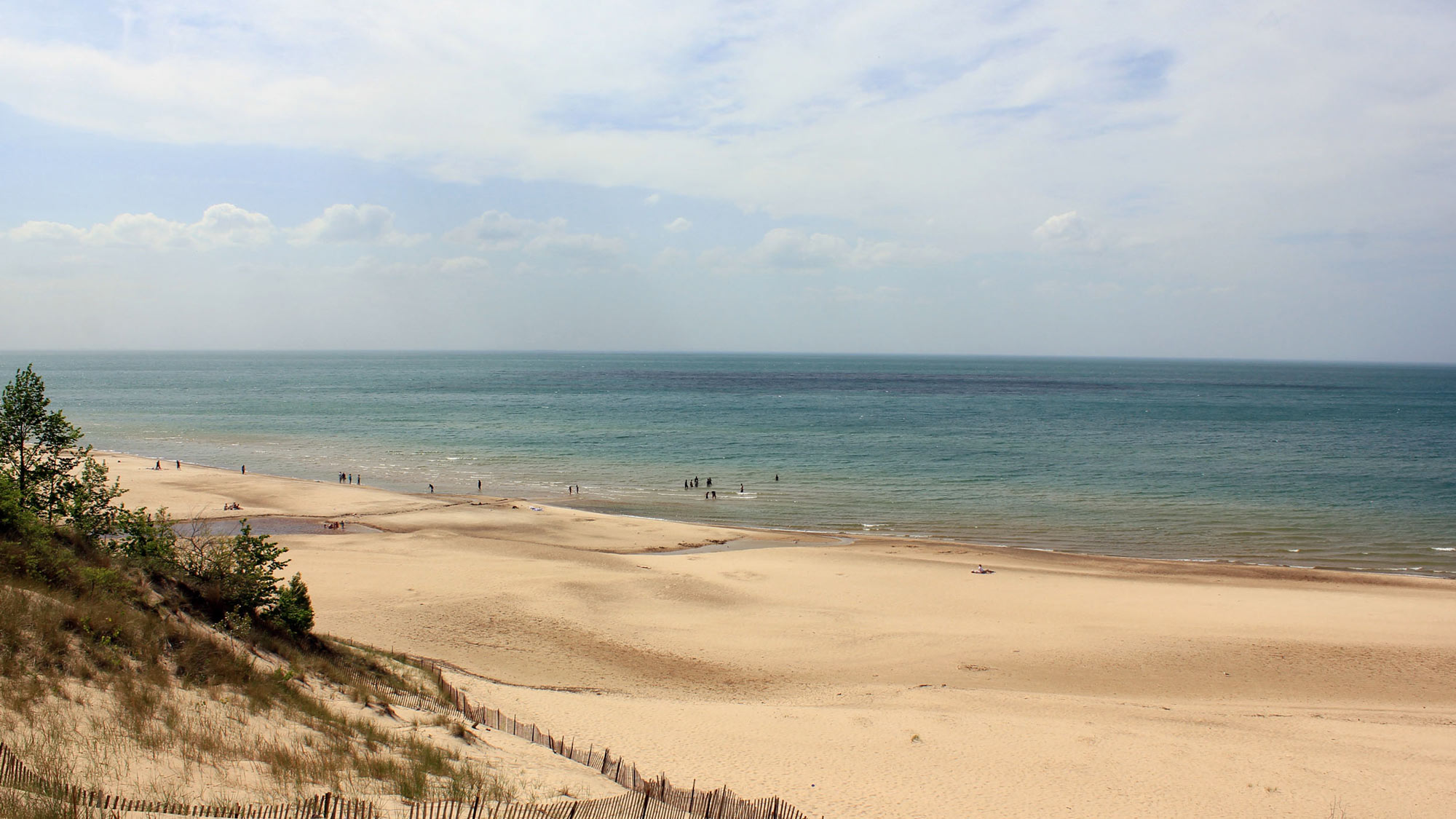 are dogs allowed at indiana dunes