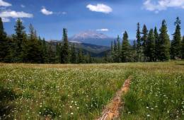 Hikers, Climbers, Mountain Bikers Reconsider Plans Amid COVID-19