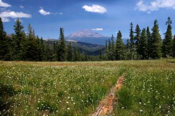 Hikers, Climbers, Mountain Bikers Reconsider Plans Amid COVID-19