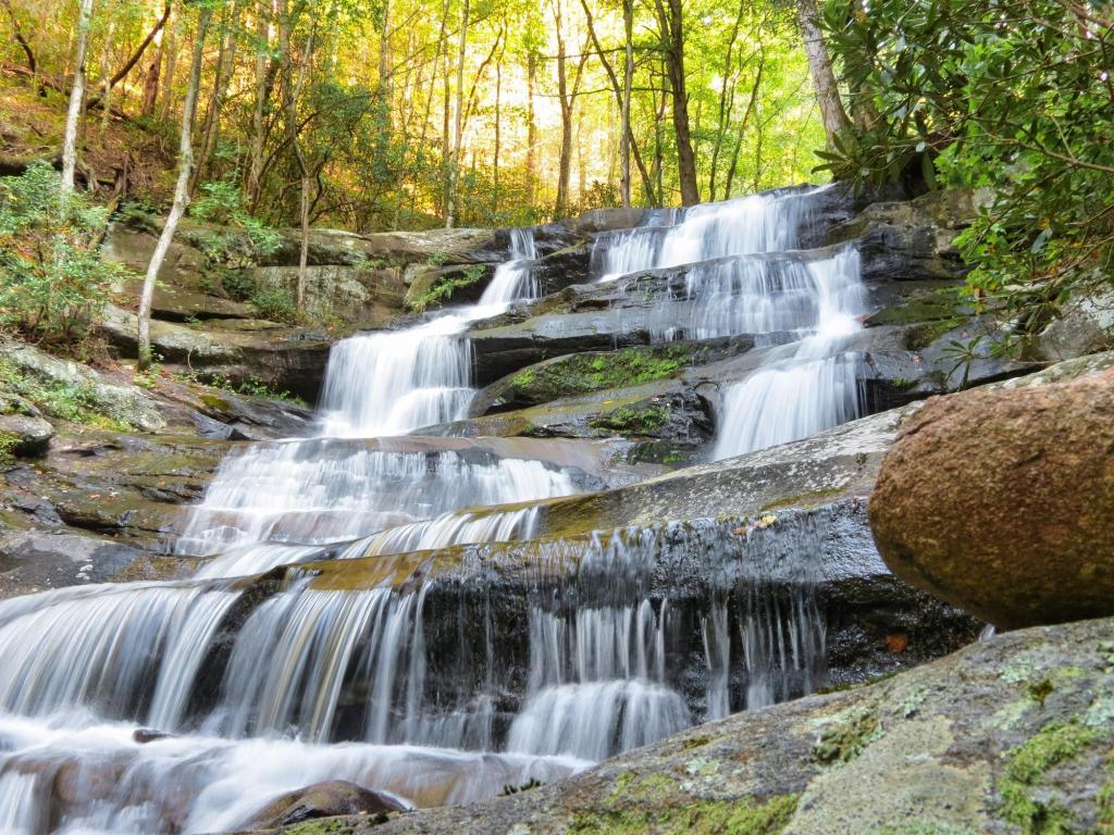 Trees and the multi-tiered Upper Emery Creek waterfall.
