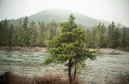 REI Brings New Expertise to Board of Directors