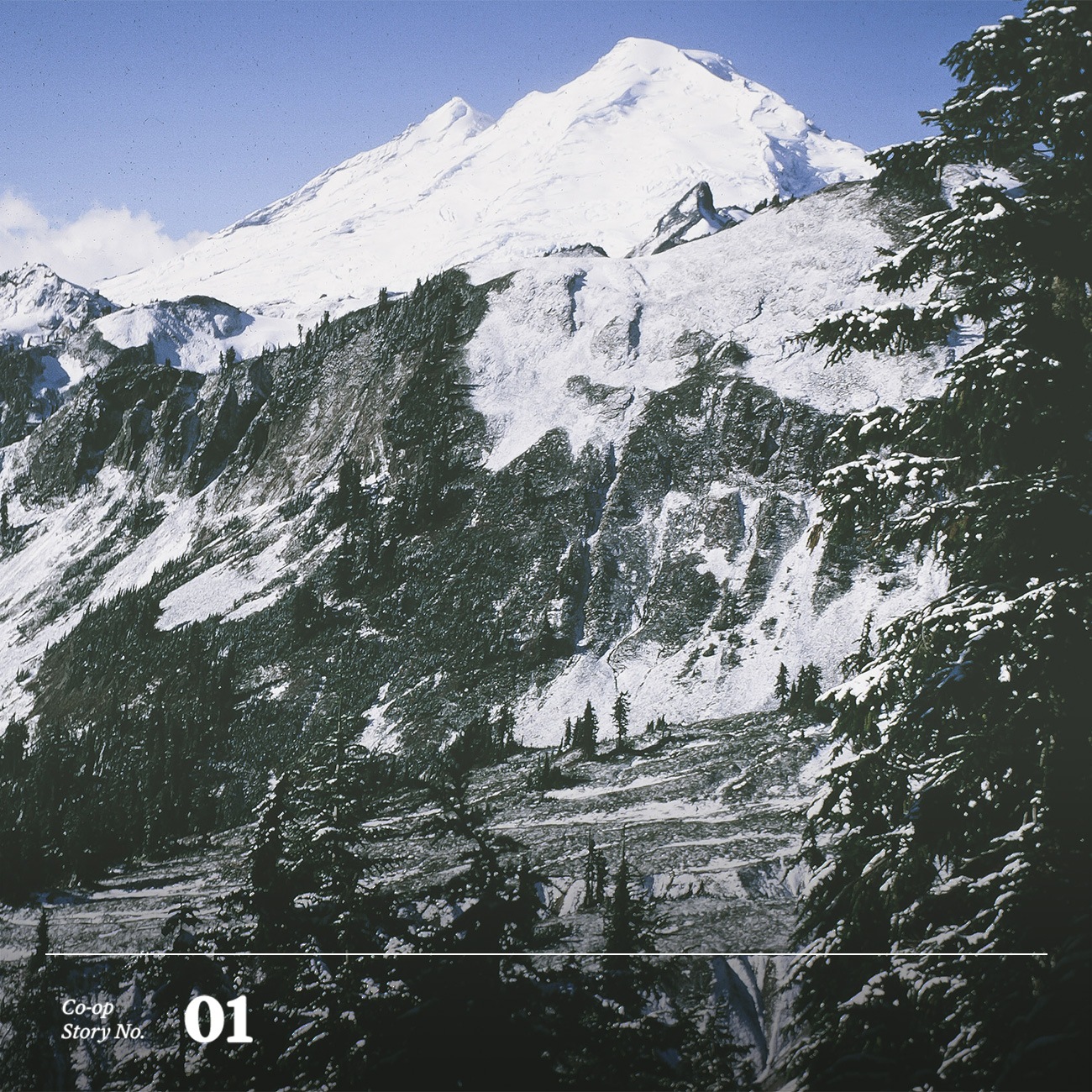 REI History: It Started with an Ice Axe