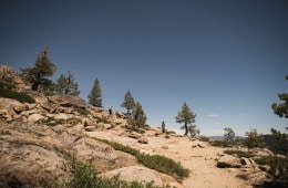 REI Member Meeting 2020: Committed to Our Values