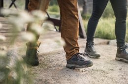 Hikers on a trail