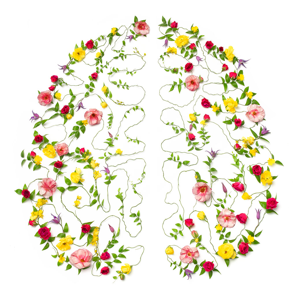 Brain made of flowers