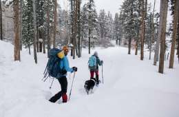 Two people and dog snowshoeing in wooded area.