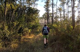 Hikers on a trail in Florida