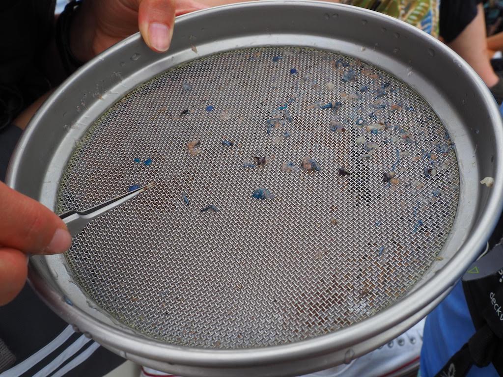 Tiny pieces of plastic in strainer.