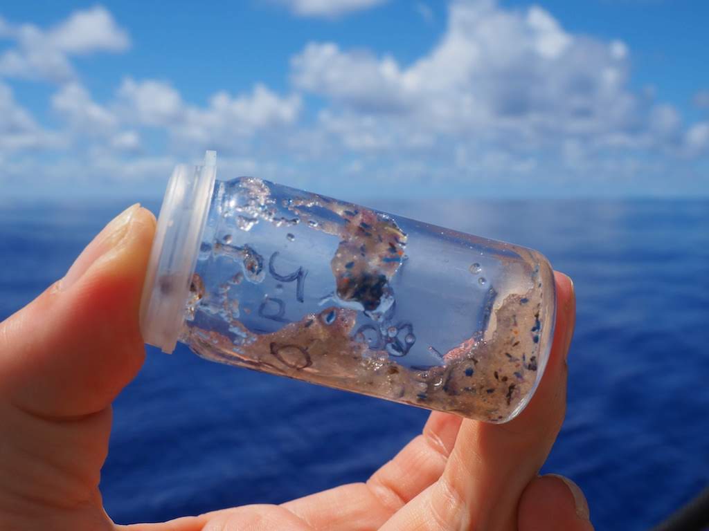 A water sample containing visible amounts of microplastics.
