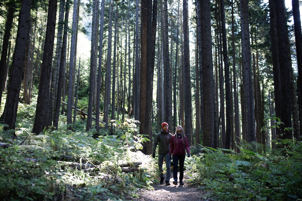 Two people hiking in forest