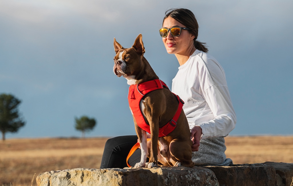Ruffwear Front Range Dog Harness