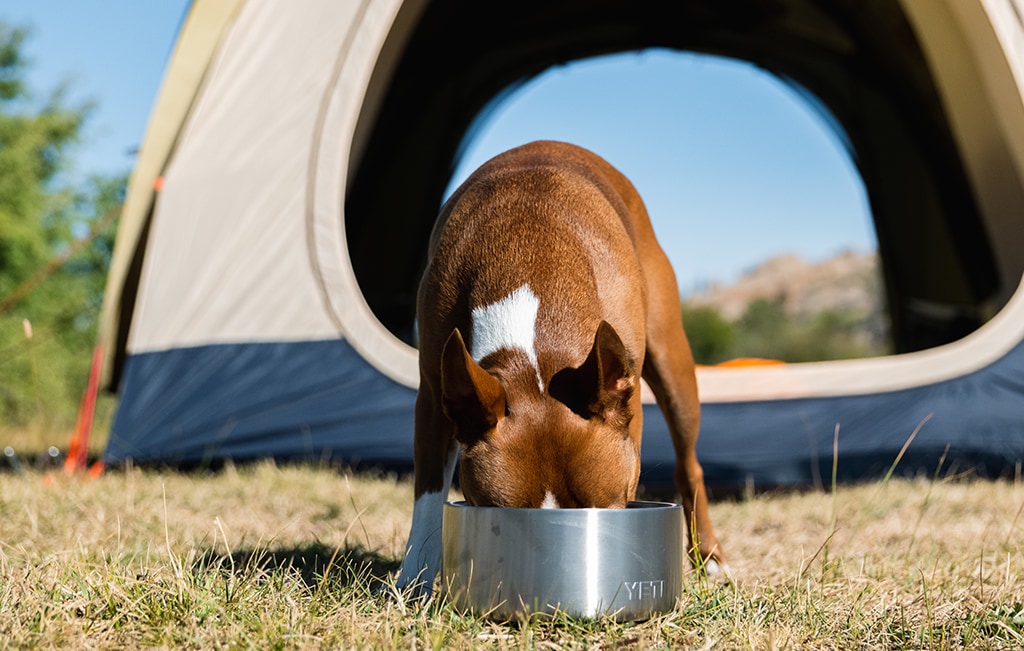 YETI Boomer 4 Dog Bowl