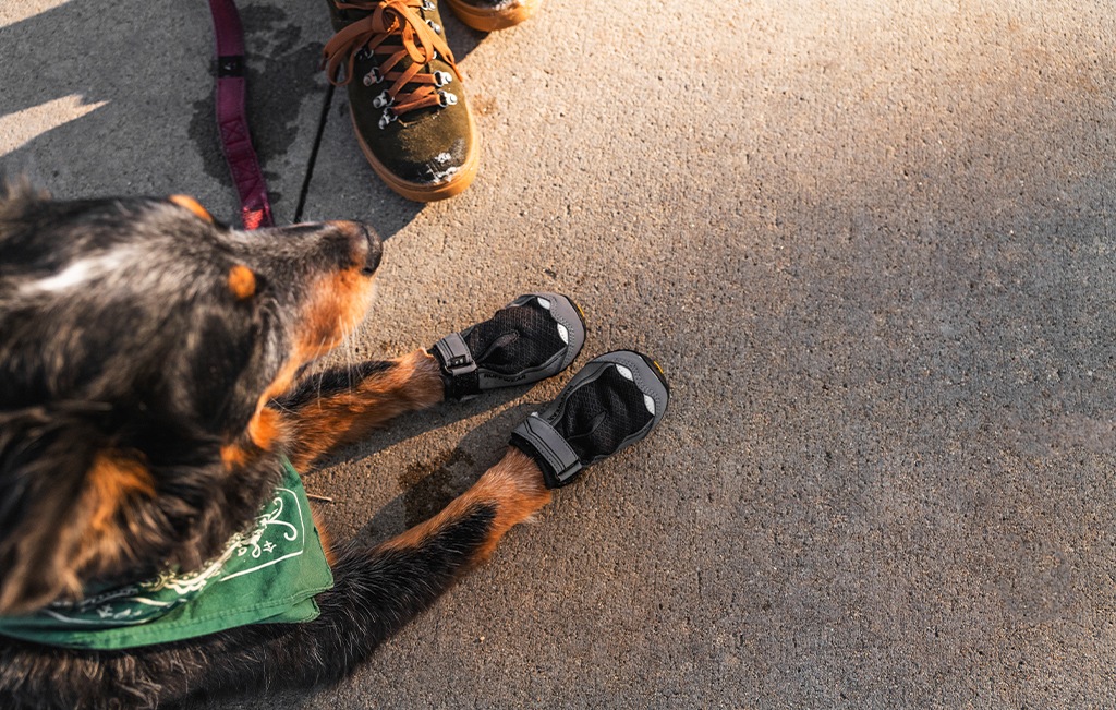 Ruffwear Grip Trex Dog Booties - Pair