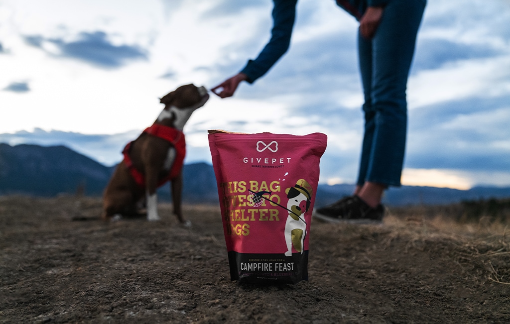 GivePet Campfire Feast Dog Treats